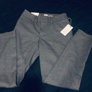 Gray Slacks